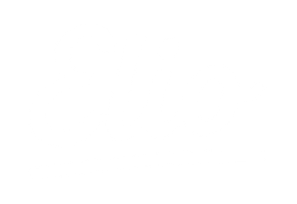Eliobot